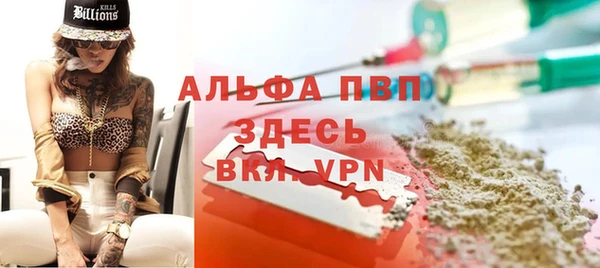 сатива Бронницы