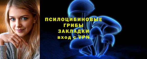 сатива Бронницы