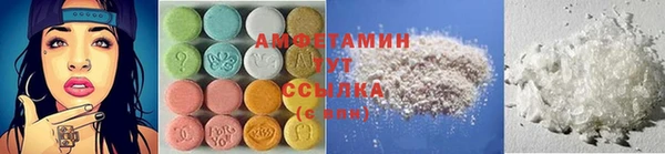 сатива Бронницы