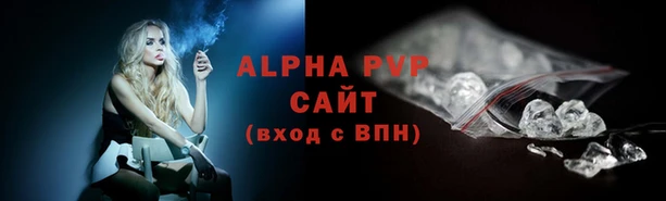 сатива Бронницы