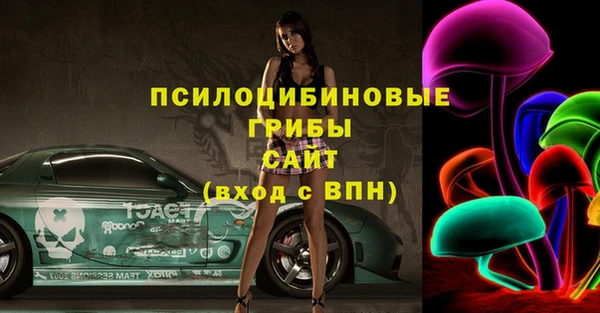 а пвп мука Бугульма