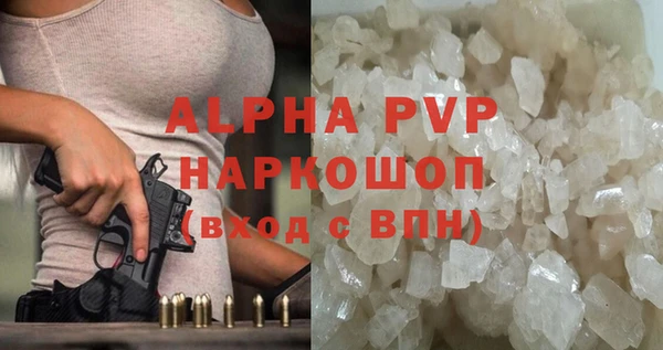 сатива Бронницы