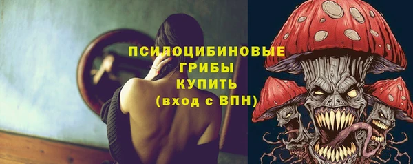 а пвп мука Бугульма