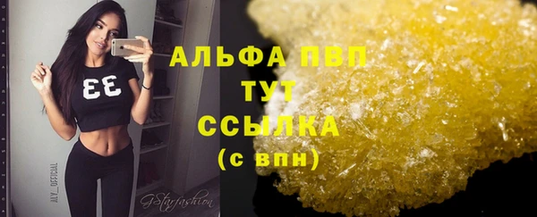 сатива Бронницы