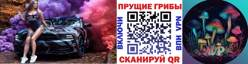 где можно купить наркотик  Славянск-на-Кубани  Псилоцибиновые грибы Cubensis 